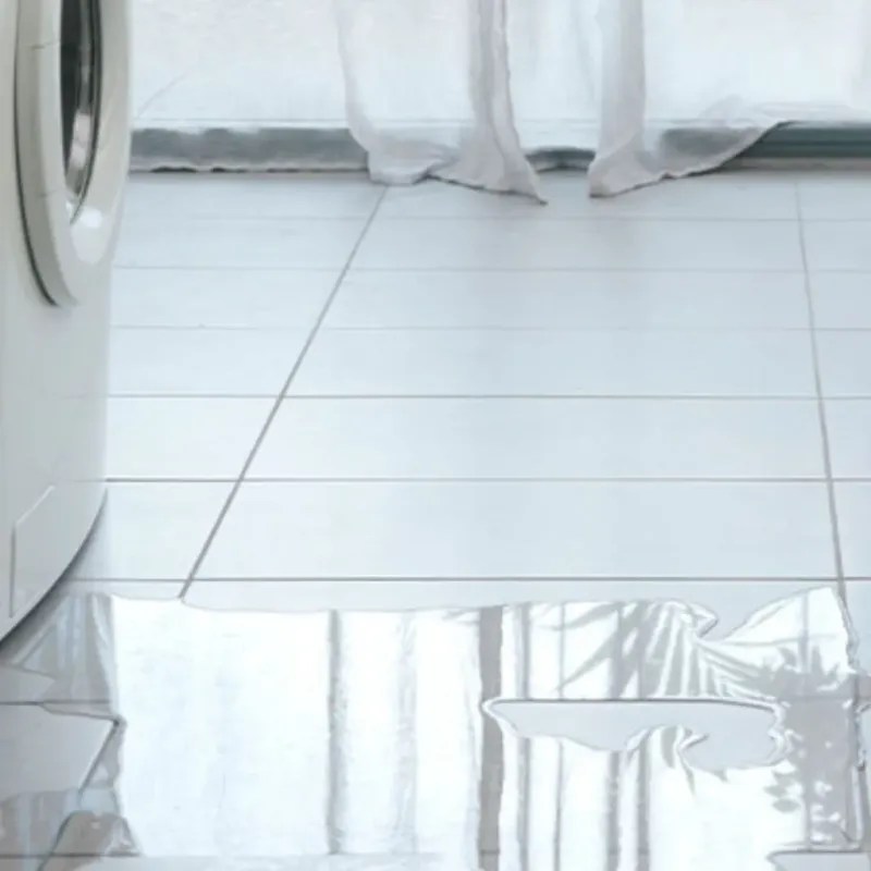 Appliance Leak Cleanup in Calhoun County, TX