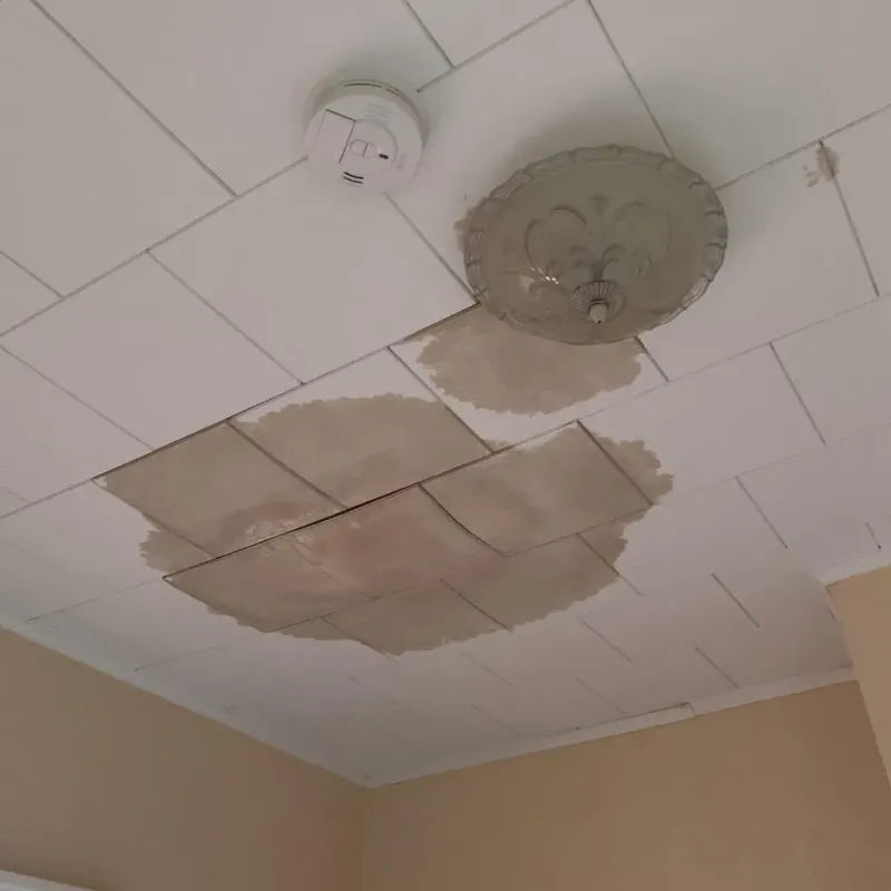 Ceiling Water Damage Repair in Calhoun County, TX
