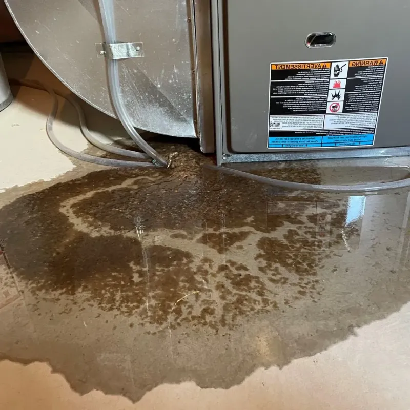 Pipe Burst and Leak Restoration in Calhoun County, TX