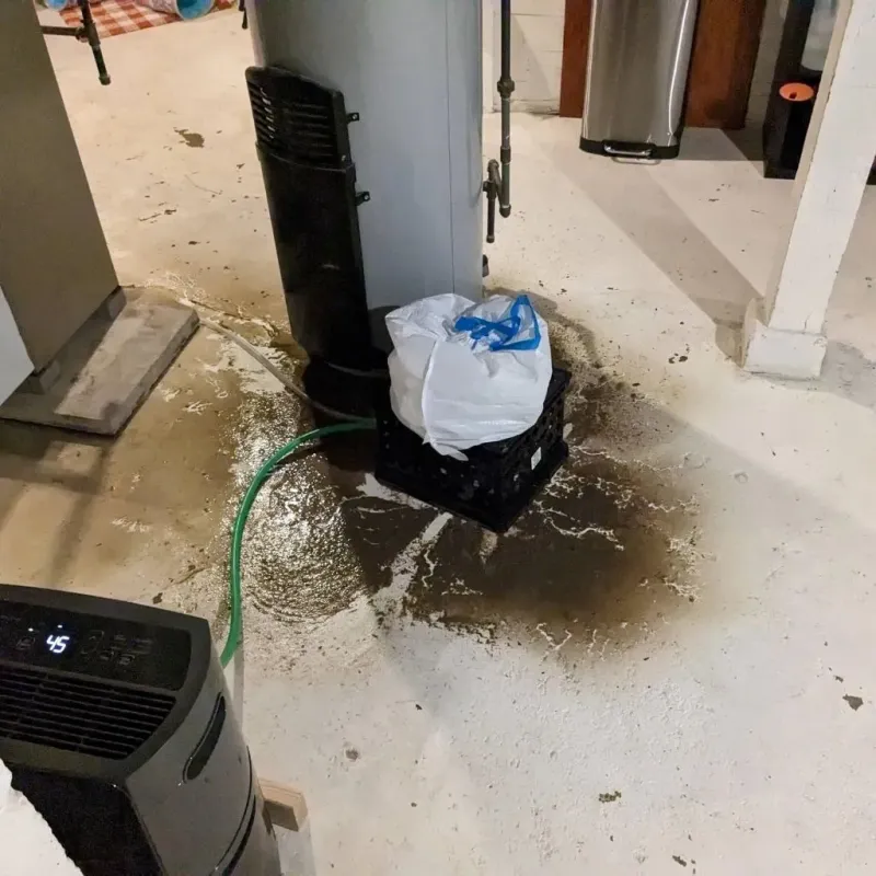 Sewage Backup Cleanup Service in Calhoun County, TX